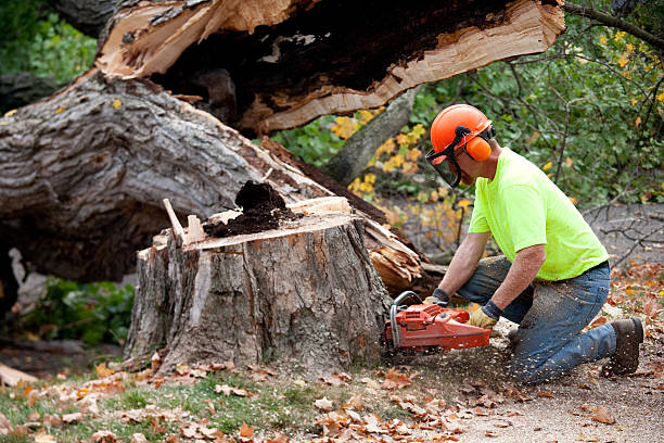 Best Affordable Tree Service  in Childersburg, AL